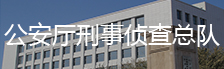 公安厅刑事侦查总队